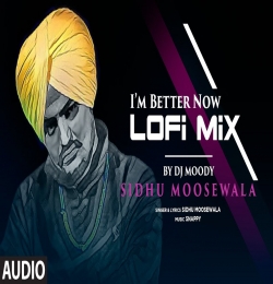 I'm Better Now (Lofi Mix) - Sidhu Moose Wala