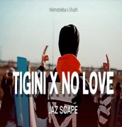Tigini x No Love (Mashup)