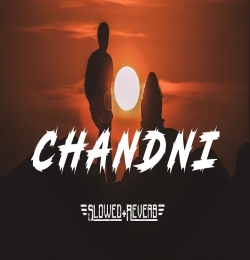 Chandni (SlowedReverb) Lofi Mix