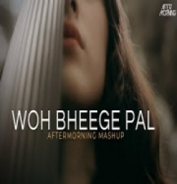 Woh Bheege Pal (Mashup) Aftermorning Chillout
