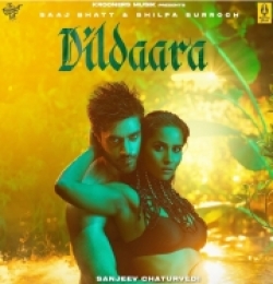 Dildaara