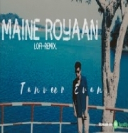 Maine Royaan (Lofi Remix) Tanveer Evan