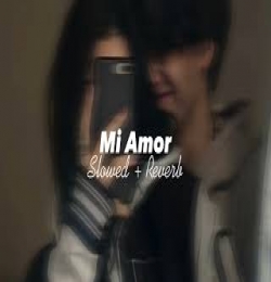 Mi Amor (Slowed Reverb)